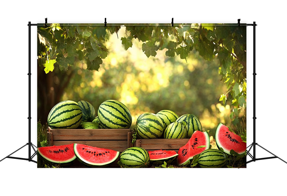 Watermelon Photo Backdrop Sunshine Forest Watermelon Summer Backdrop UK CJJ3-257