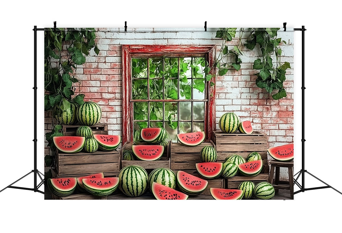 Watermelon Photo Backdrop Garden Window Watermelon Summer Backdrop UK CJJ3-264