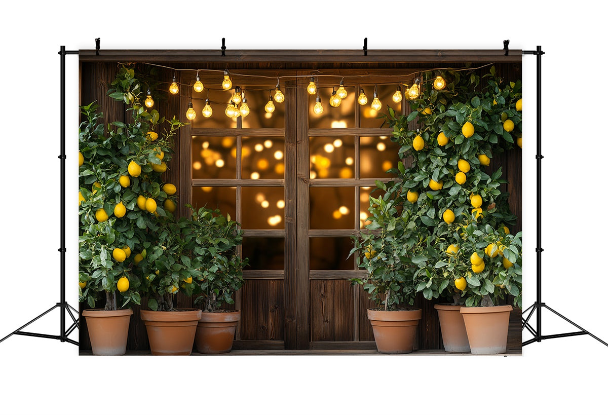 Lemon Backdrop Lemon Tree Lights Summer Backdrop UK CSH5-123