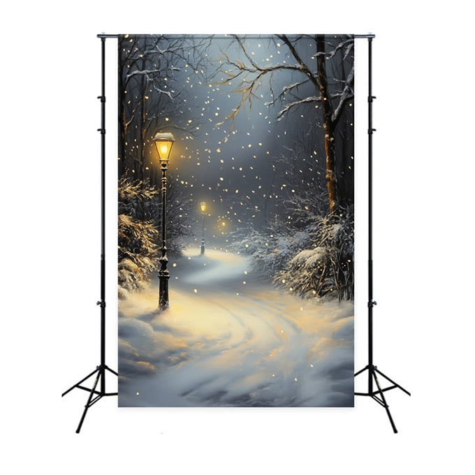 Winter Forest Backdrop Snowfall Lantern Path Backdrop UK CSH57-151