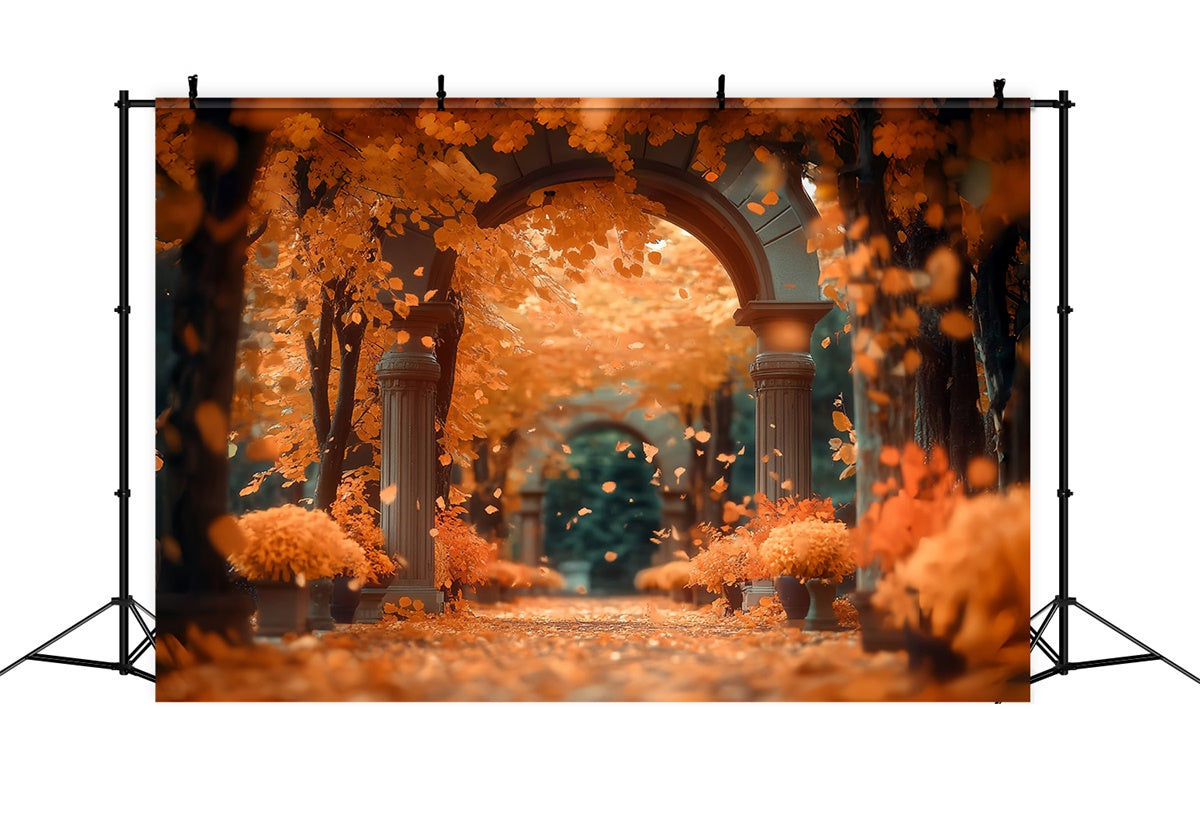 Autumn Forest Backdrop Sunset Maple Passage Backdrop UK CSH57-157