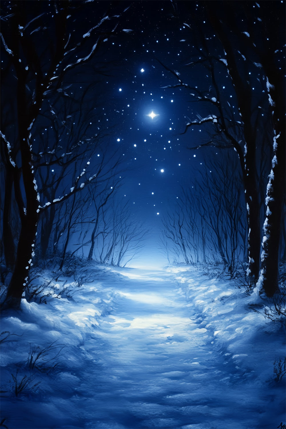 Winter Forest Backdrop Silent Midnight Woods Backdrop UK CSH57-202