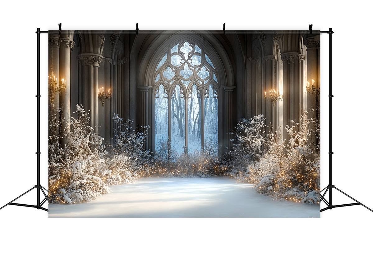 Winter Backdrop Photography Snowlit Gothic Hall Backdrop UK CSH57-206
