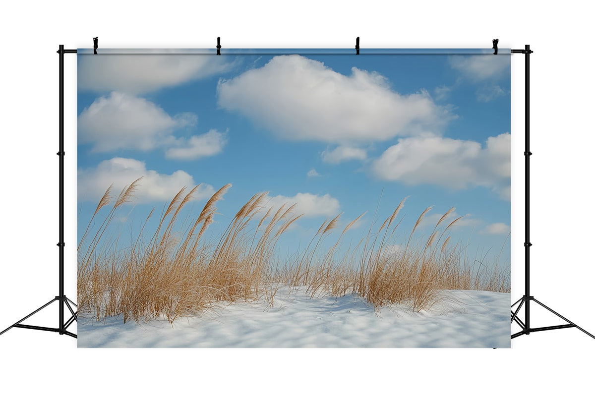 Winter Backdrops Meadow Breeze Blue Sky Backdrop UK CSH57-222