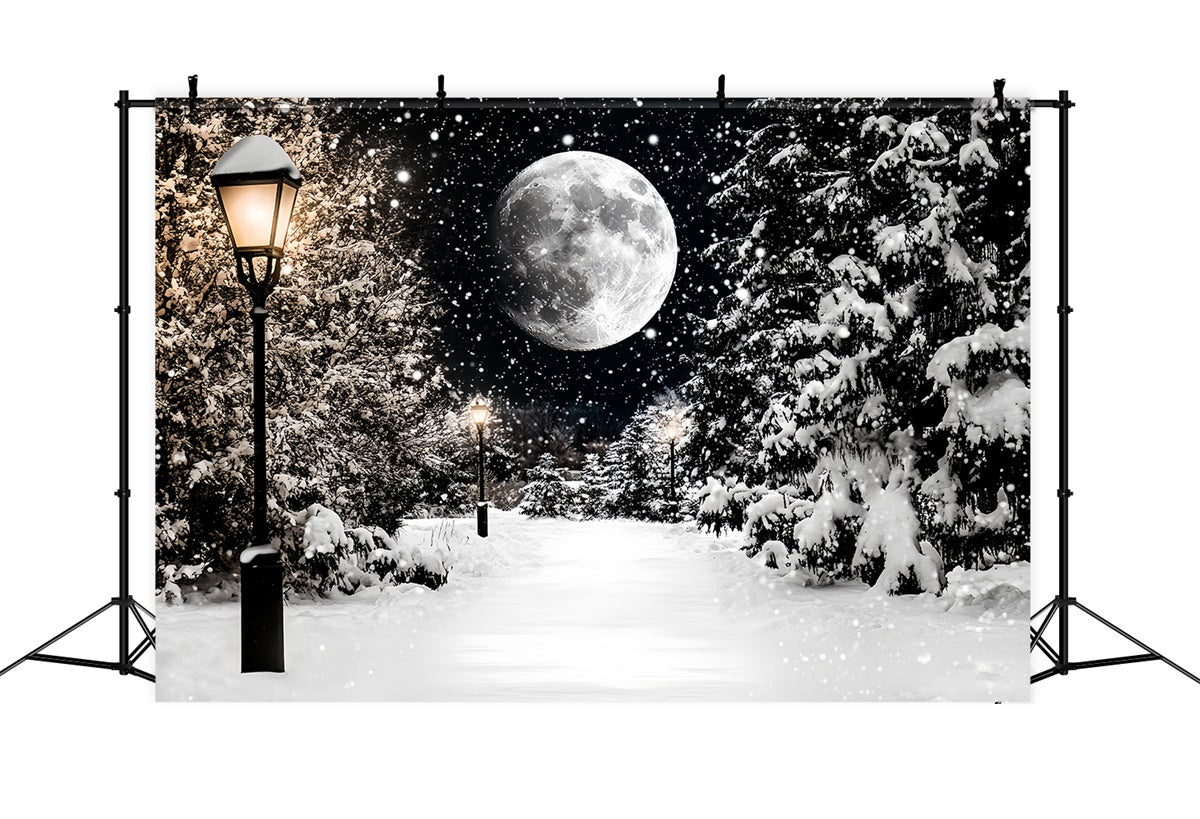 Winter Snow Backdrop Midnight Snowfall Trail Backdrop UK CSH57-223
