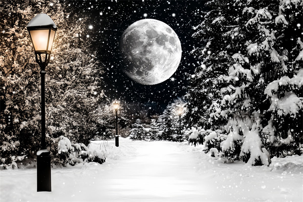 Winter Snow Backdrop Midnight Snowfall Trail Backdrop UK CSH57-223
