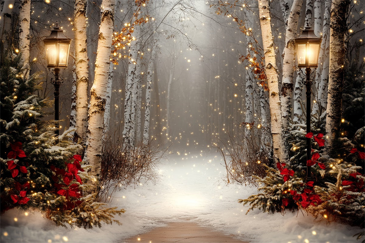 Winter Scene Backdrop Holiday Twilight Birch Backdrop UK CSH57-237