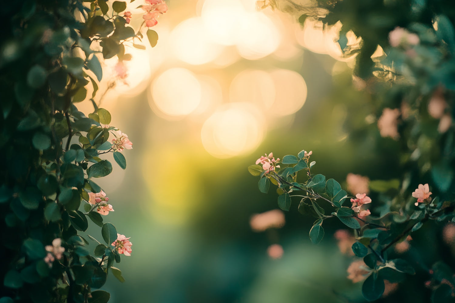 Headshot Photo Backdrop Sunset Garden Bloom Backdrop UK CSH57-3