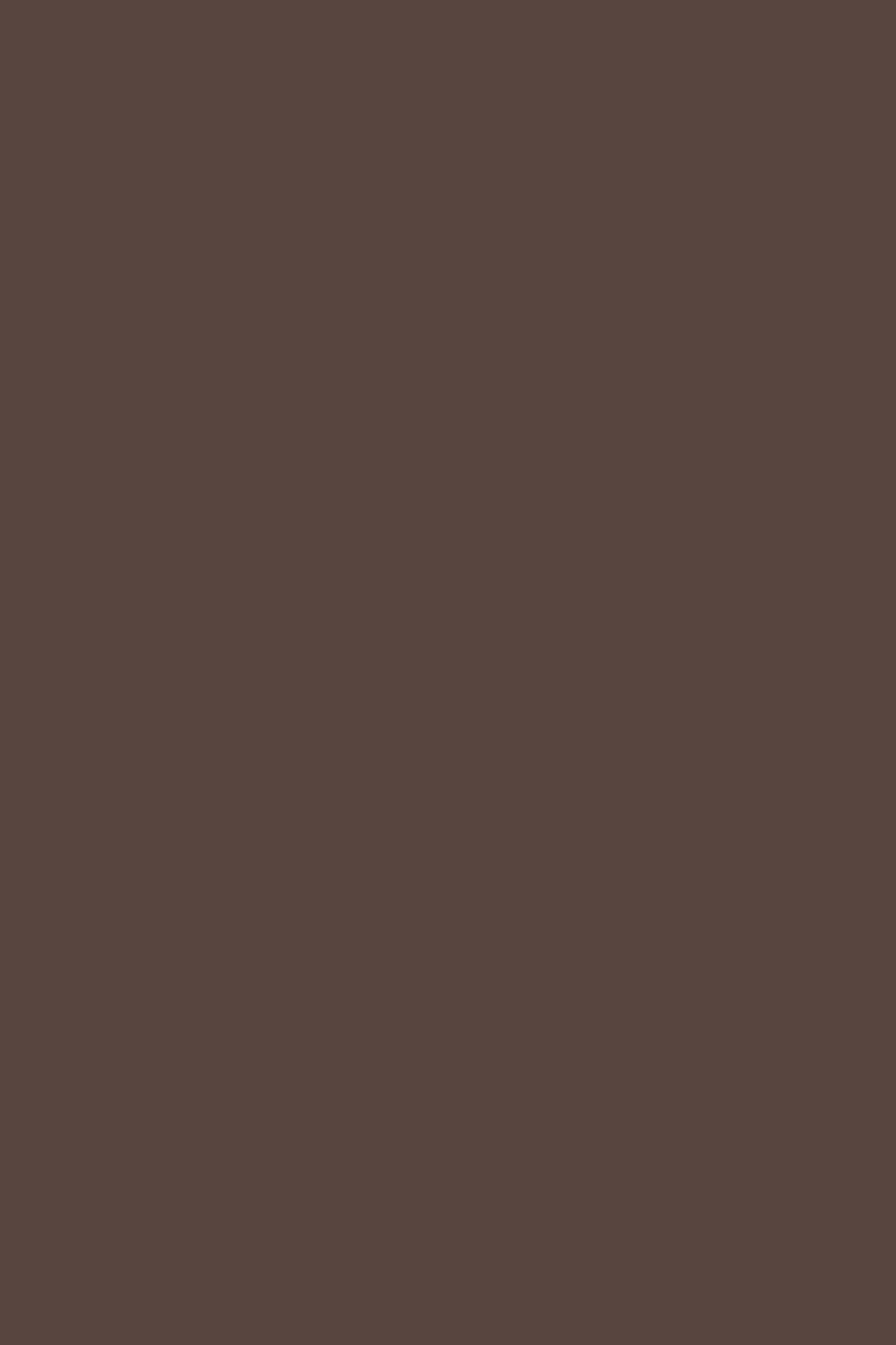 Backdrop Solid Color Rich Cocoa Wine Backdrop UK CSH57-340