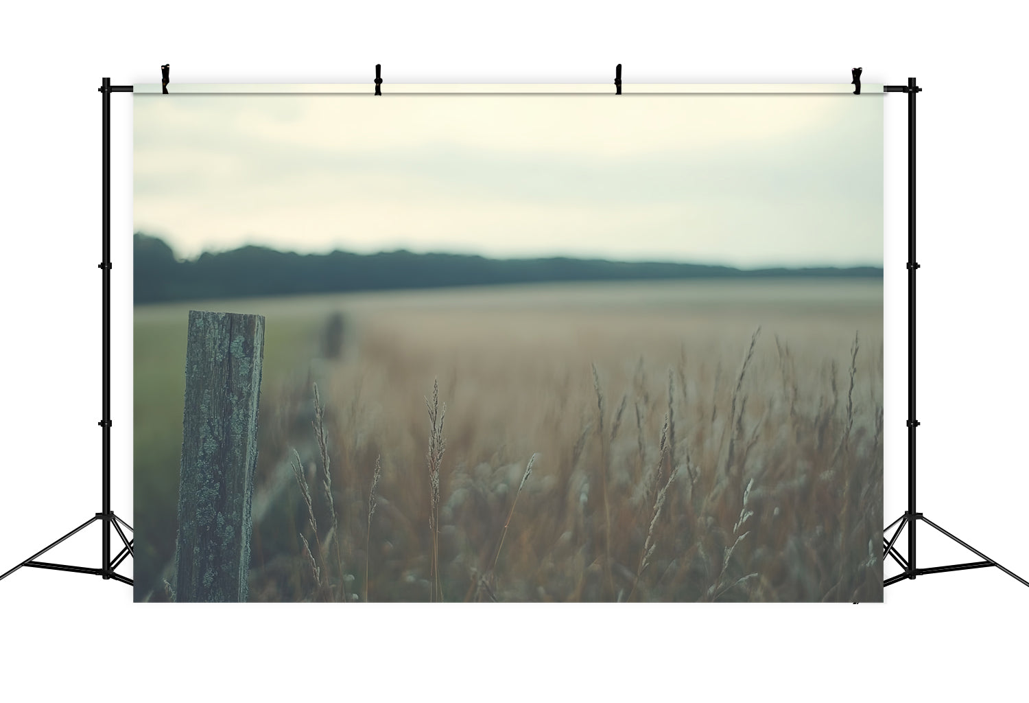 Backdrop For Headshot Rustic Meadow Silence Backdrop UK CSH57-7