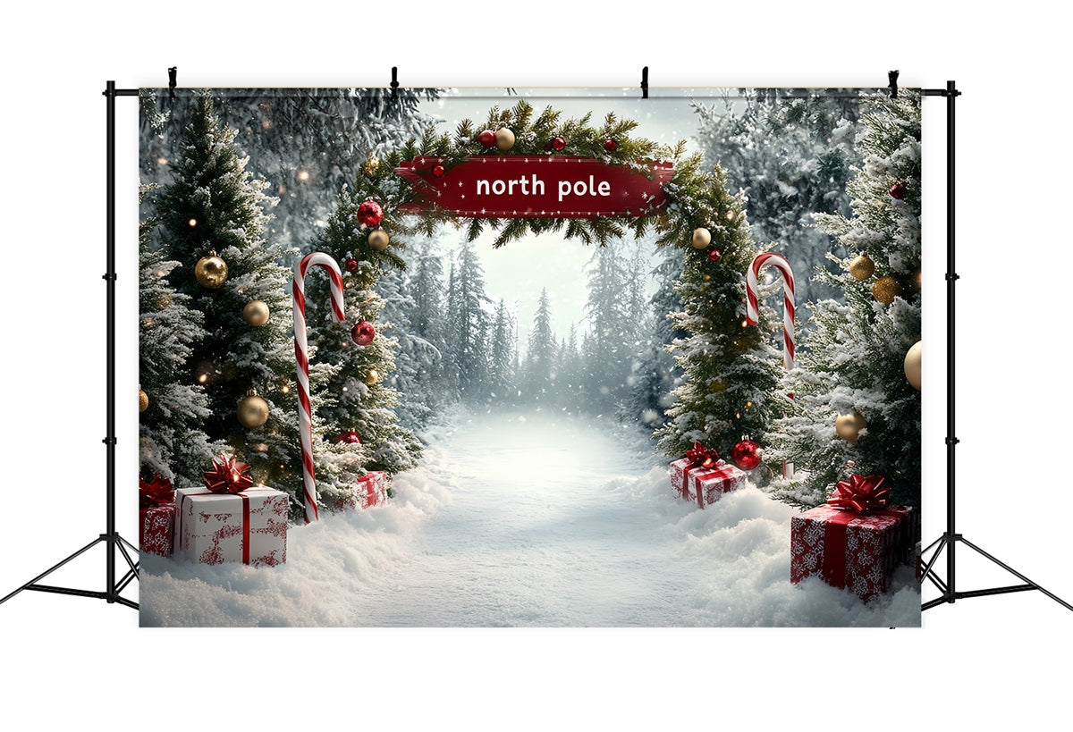 North Pole Backdrop North Pole Candy Cane Gift Pathway Winter Christmas Backdrop UK CSH58-36