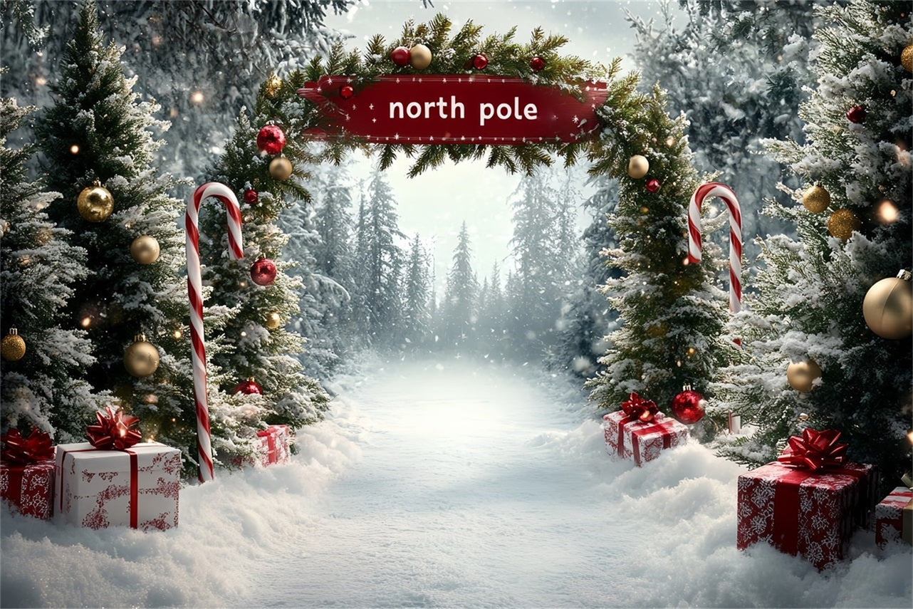 North Pole Backdrop North Pole Candy Cane Gift Pathway Winter Christmas Backdrop UK CSH58-36
