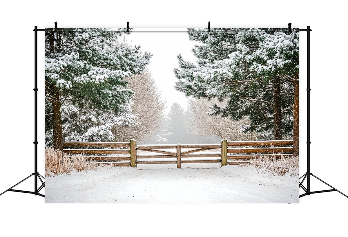 Nature Backdrop Winter Holly Forest Pasture Fencing Winter Backdrop ideas UK CSH58-42