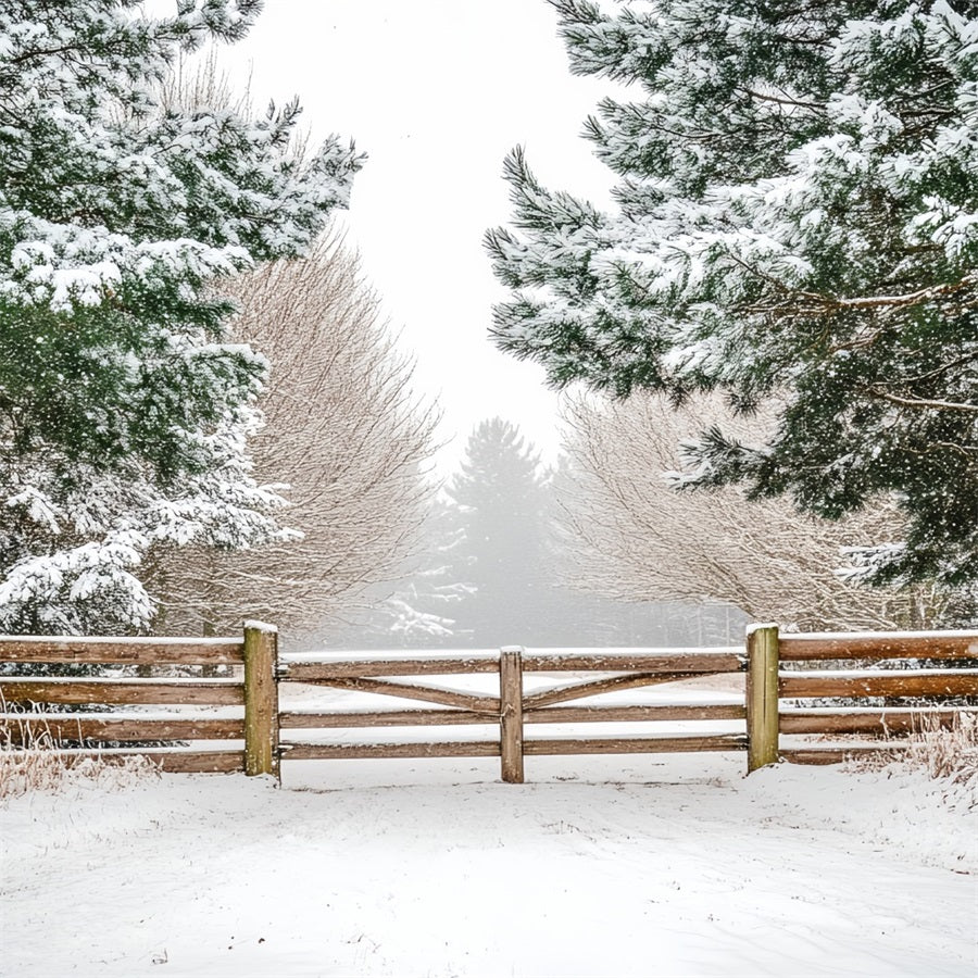 Nature Backdrop Winter Holly Forest Pasture Fencing Winter Backdrop ideas UK CSH58-42