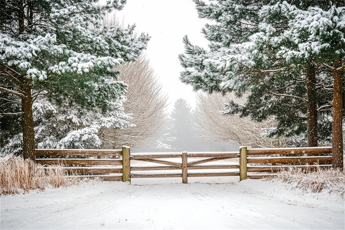 Nature Backdrop Winter Holly Forest Pasture Fencing Winter Backdrop ideas UK CSH58-42