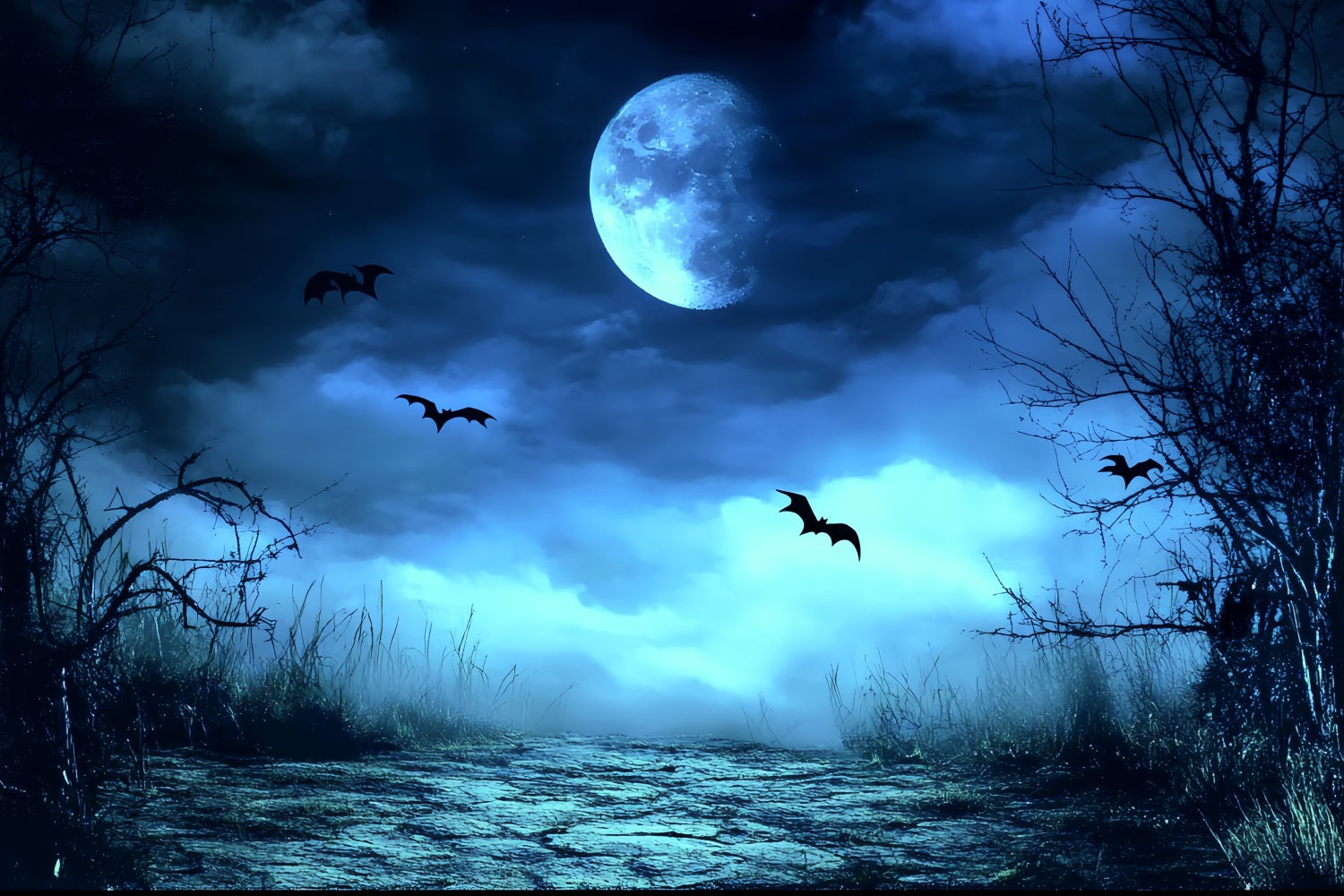 Night Sky Backdrop Blue Mist Spooky Path Halloween Photo Backdrop UK CSH58-83