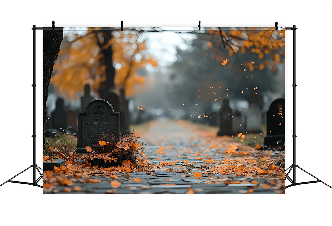 Cemetery Backdrop Autumn Leaves Grave Path Halloween Backdrop UK CSH58-91