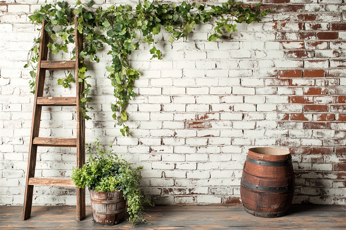 Brick Photo Backdrop Ivy Barrel Rustic Wall Backdrop UK CSH6-133