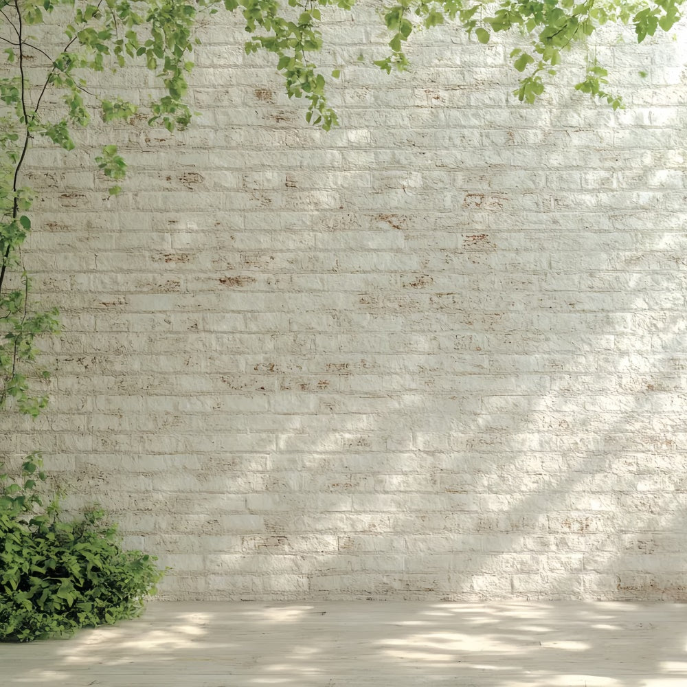 White Brick Backdrop Morning Light White Wall Backdrop UK CSH6-140
