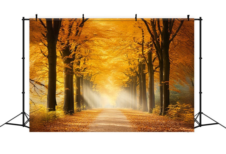 Forest Backdrop Sunlit Amber Path Autumn Leaves Backdrop UK CSH6-191