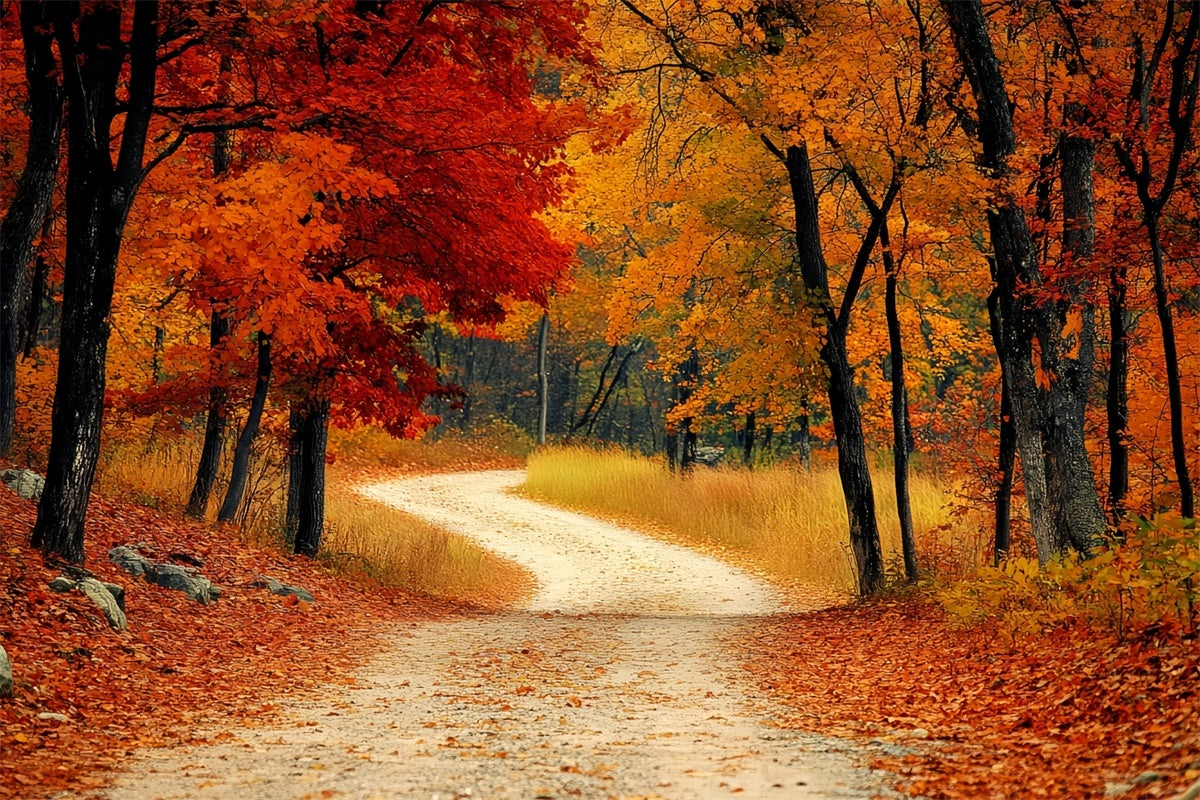 Forest Backdrops Rustic Redwoods Path Fall Leaves Backdrop UK CSH6-193