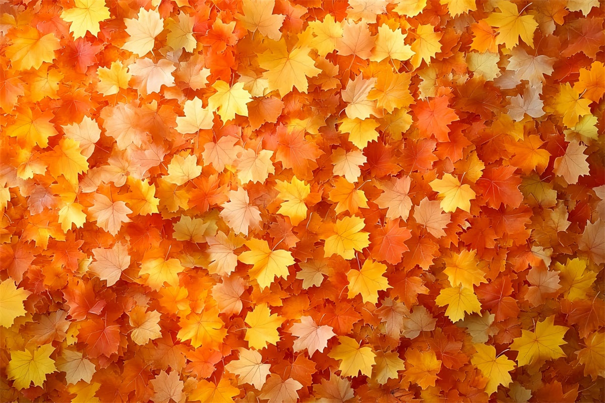 Autumn Leaves Backdrop Golden Leaves Rustic Backdrop UK CSH6-201