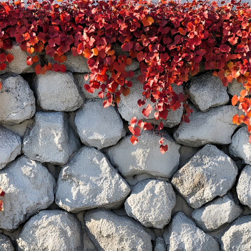 Autumn Photo Backdrop Simple Charm Fall Wall Backdrop UK CSH6-218