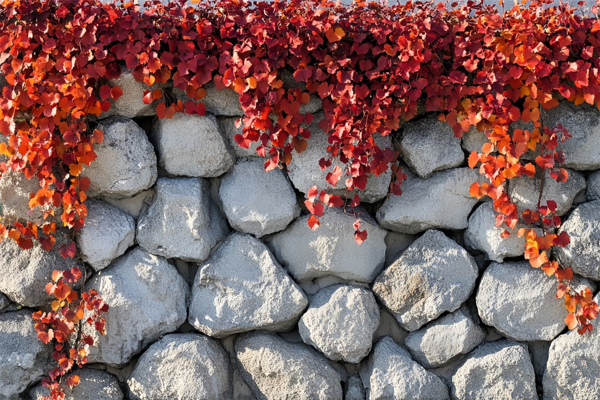 Autumn Photo Backdrop Simple Charm Fall Wall Backdrop UK CSH6-218
