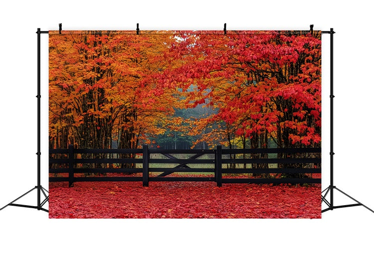 Fall Forest Backdrop Scarlet Forest Entry Backdrop UK CSH6-220