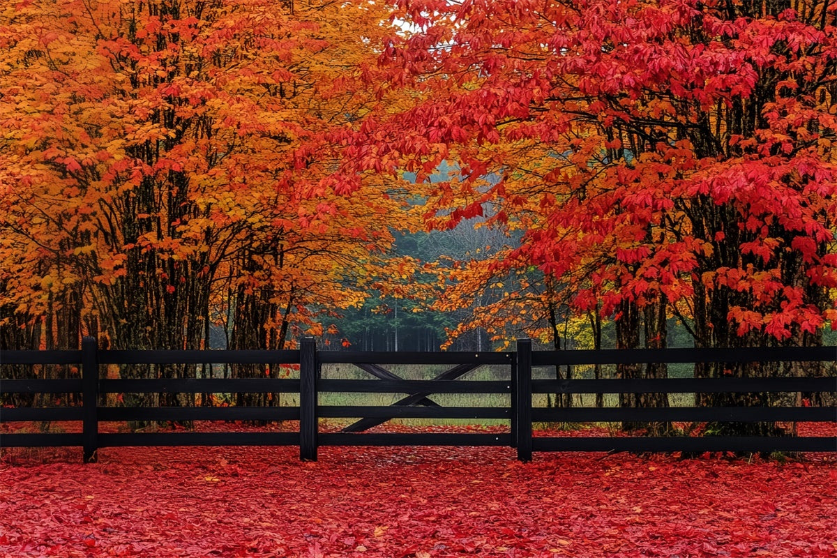 Fall Forest Backdrop Scarlet Forest Entry Backdrop UK CSH6-220
