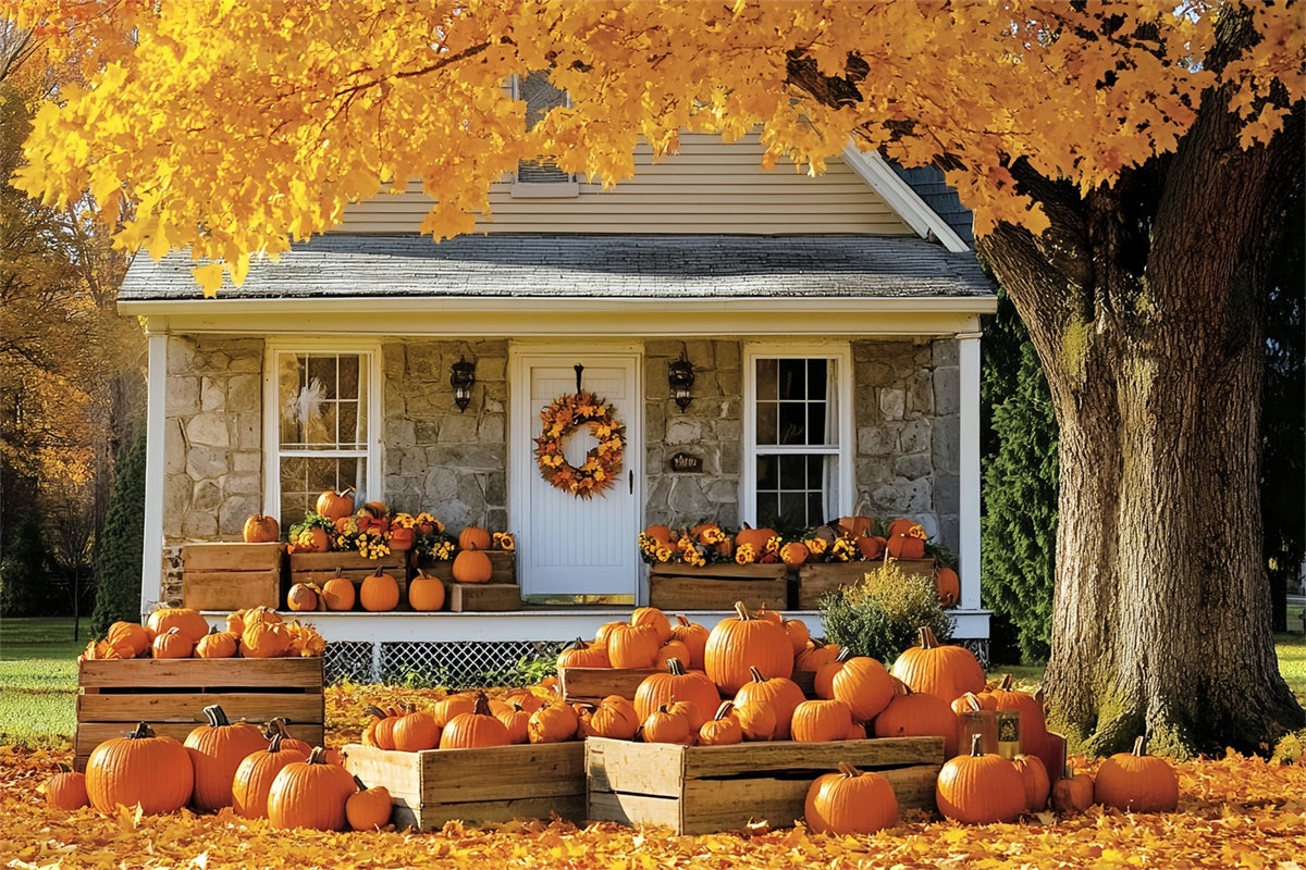 Fall Backdrop For Pictures Golden Tree Cottage Backdrop UK CSH6-222