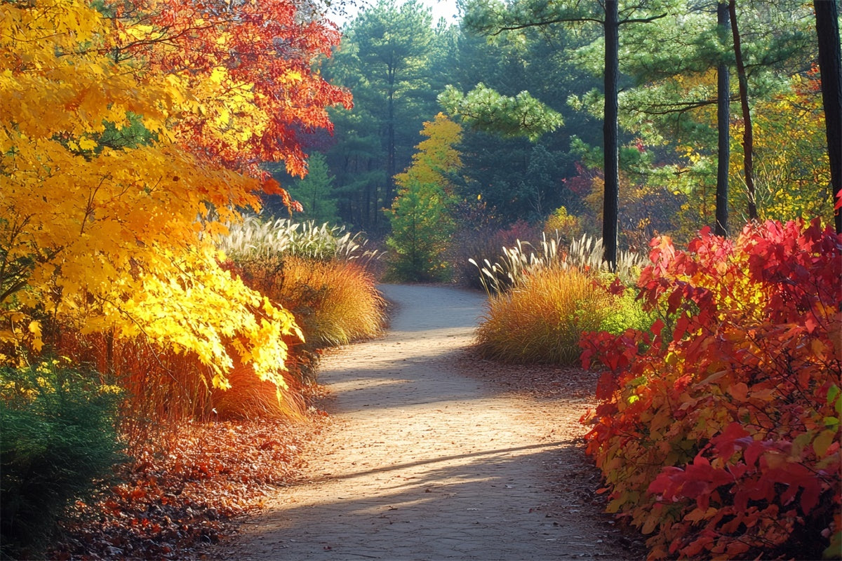 Forest Photo Backdrop Golden Grove Trail Autumn Backdrop UK CSH6-226