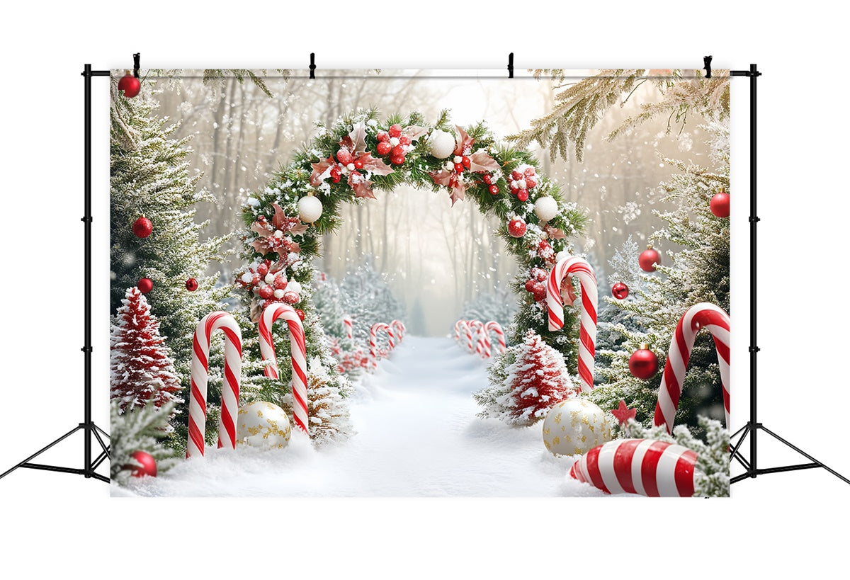 Christmas Photo Backdrop Candy Wonderland Arch Backdrop UK CSH6-242