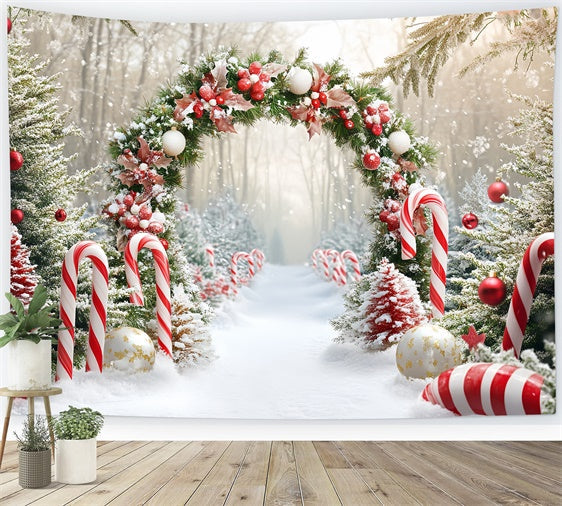 Christmas Photo Backdrop Candy Wonderland Arch Backdrop UK CSH6-242