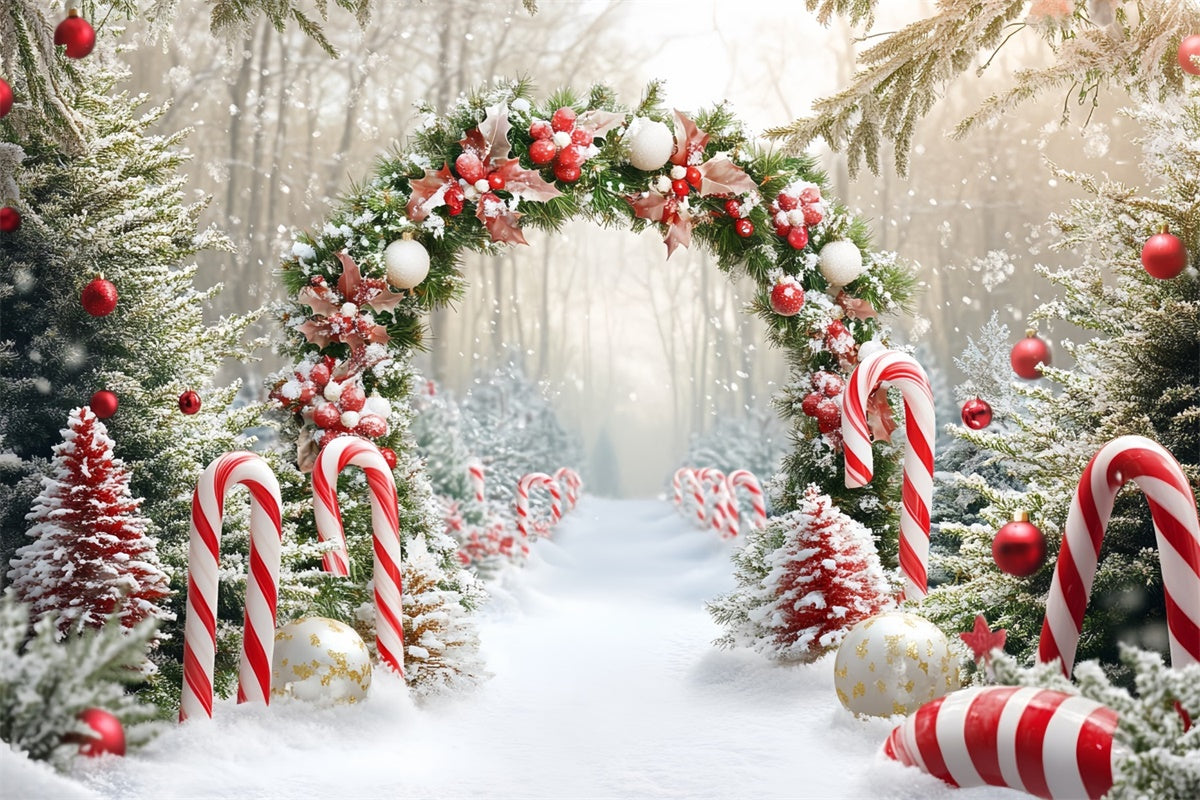Christmas Photo Backdrop Candy Wonderland Arch Backdrop UK CSH6-242