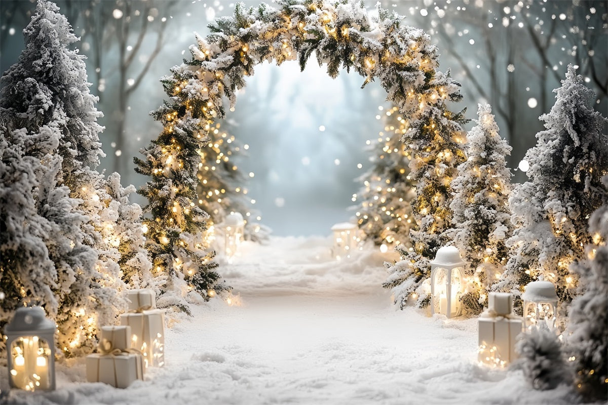 Christmas Backdrop For Photos Winter Wonderland Arch Backdrop UK CSH6-244