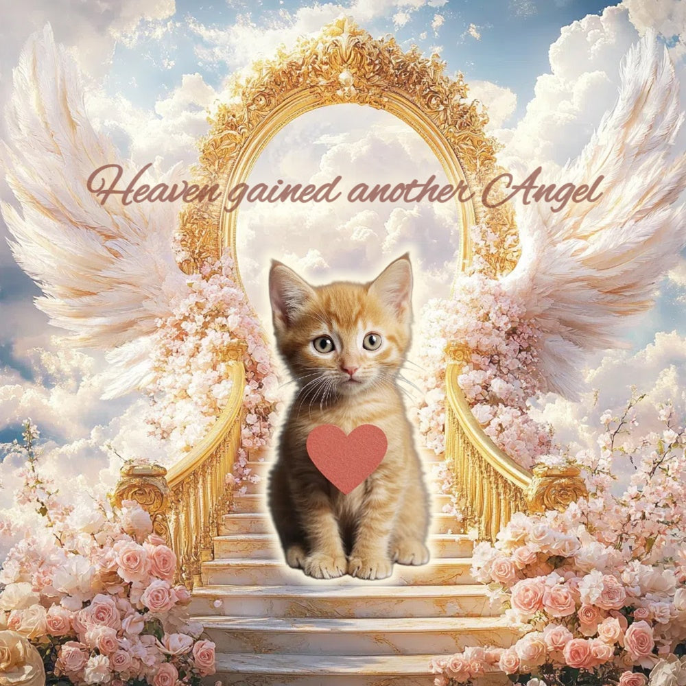 Memorial Backdrops Golden Gate Kitten Tribute Custom Backdrop UK CSH6-342