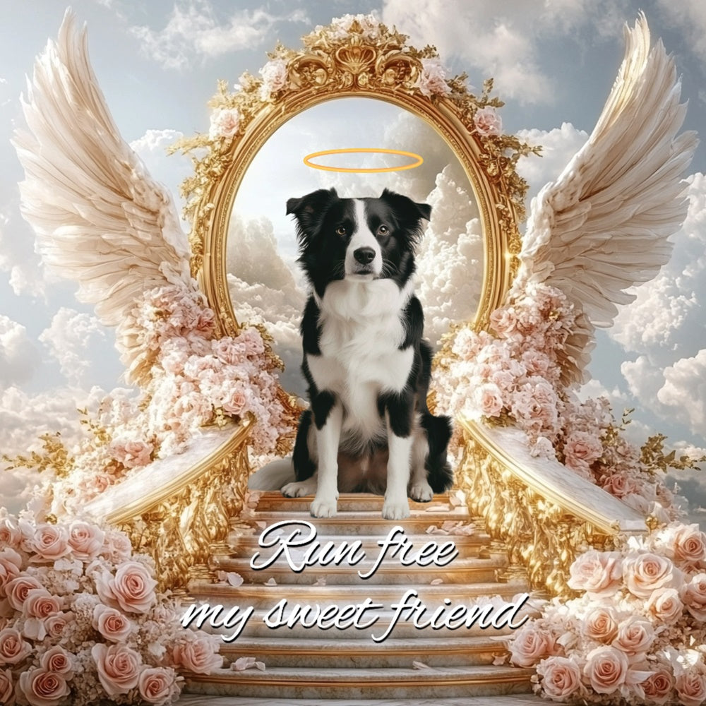 Memorial Backdrop Ideas Run Free Angel Pup Customized Backdrop UK CSH6-343