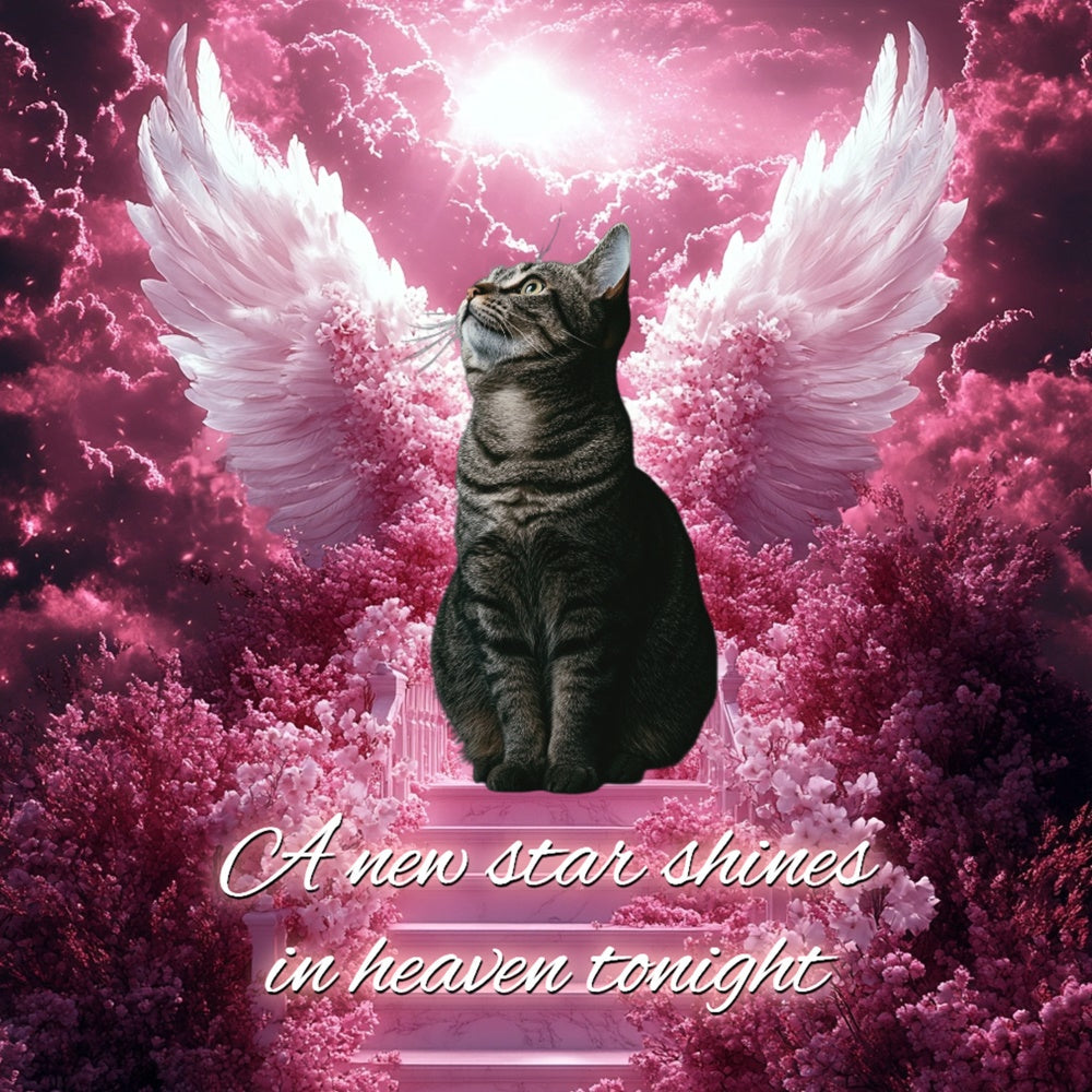 Memorial Backdrops Flower Cloud Starglow Personalized Backdrop UK CSH6-348