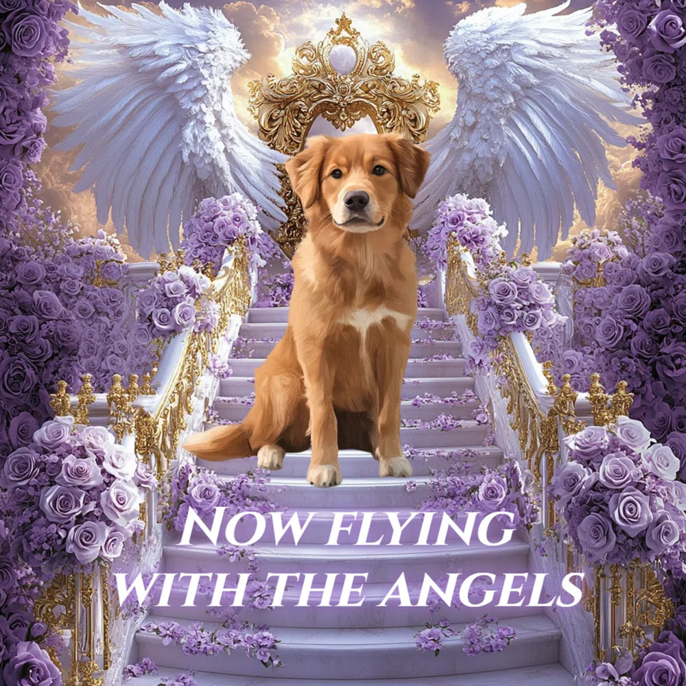 Memorial Backdrop Lavender Wings Pet Tribute Custom Backdrop UK CSH6-349