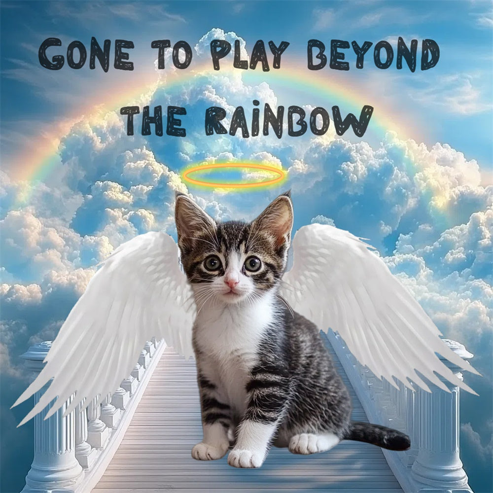 Memorial Backdrop Ideas Angel Kitten Rainbow Customized Backdrop UK CSH6-354
