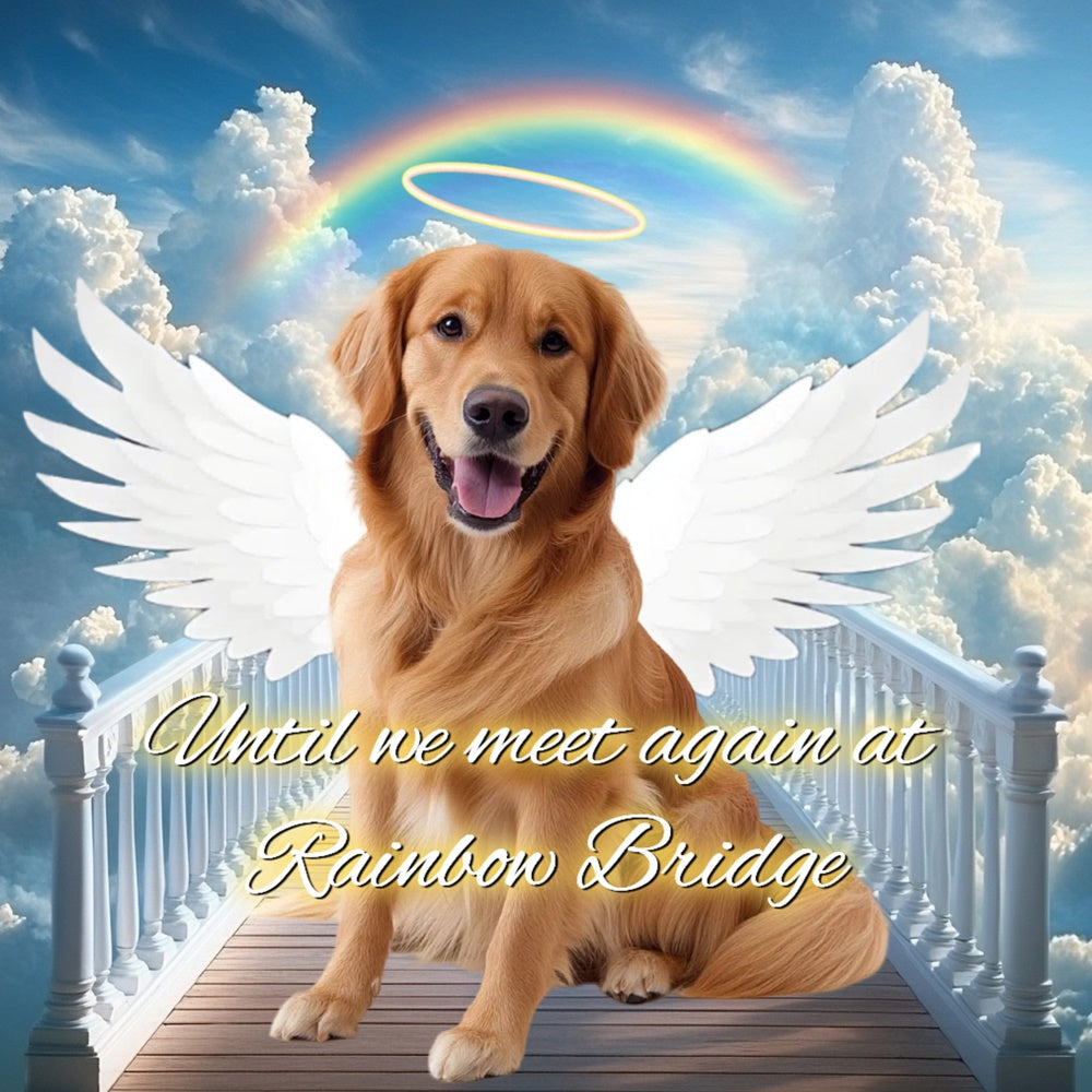 Memorial Backdrops Rainbow Bridge Pup Tribute Custom Backdrop UK CSH6-355
