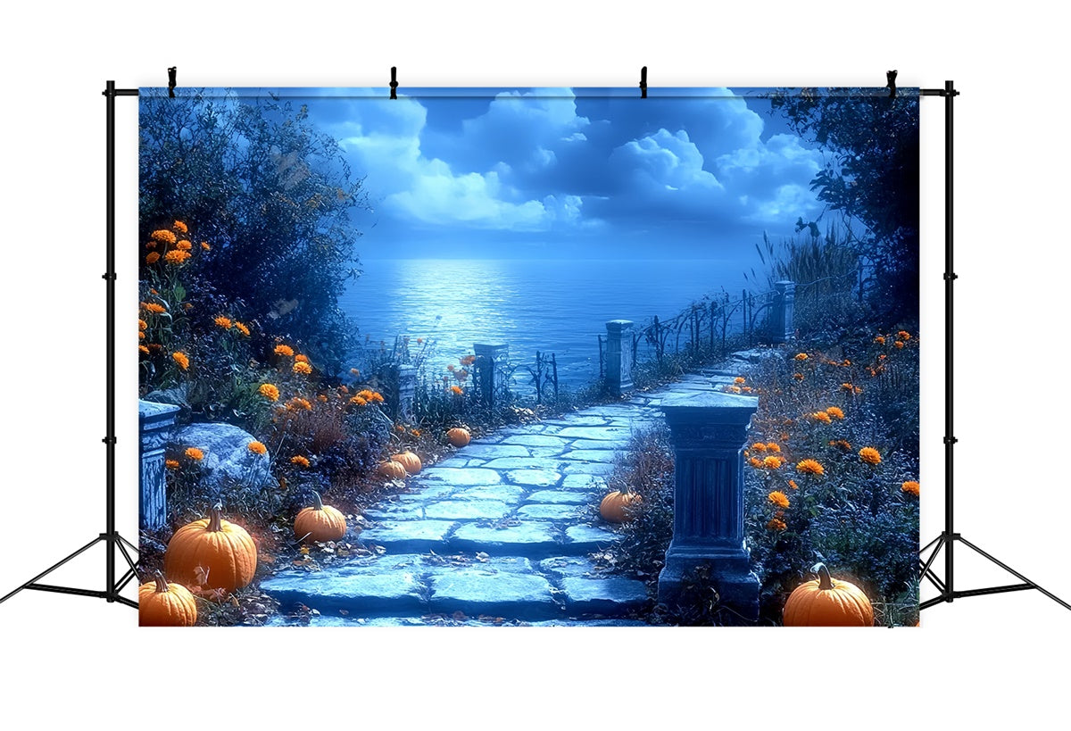 Halloween Photography Backdrops Moonlit Pumpkin Path Backdrop UK CSH6-86
