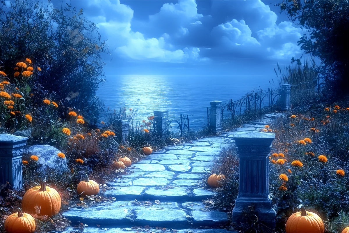 Halloween Photography Backdrops Moonlit Pumpkin Path Backdrop UK CSH6-86