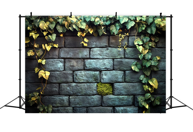 Halloween Wall Backdrop Ivy Garden Stone Wall Backdrop UK CSH6-92