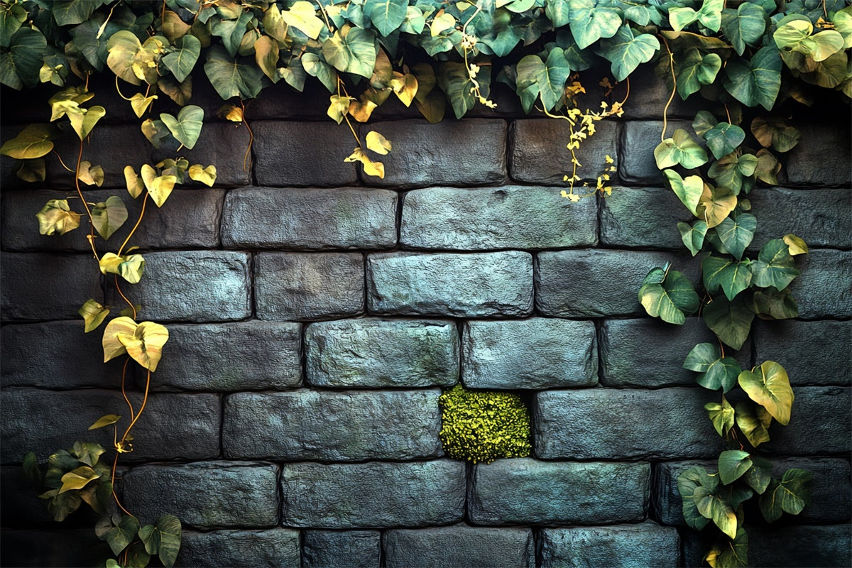Halloween Wall Backdrop Ivy Garden Stone Wall Backdrop UK CSH6-92