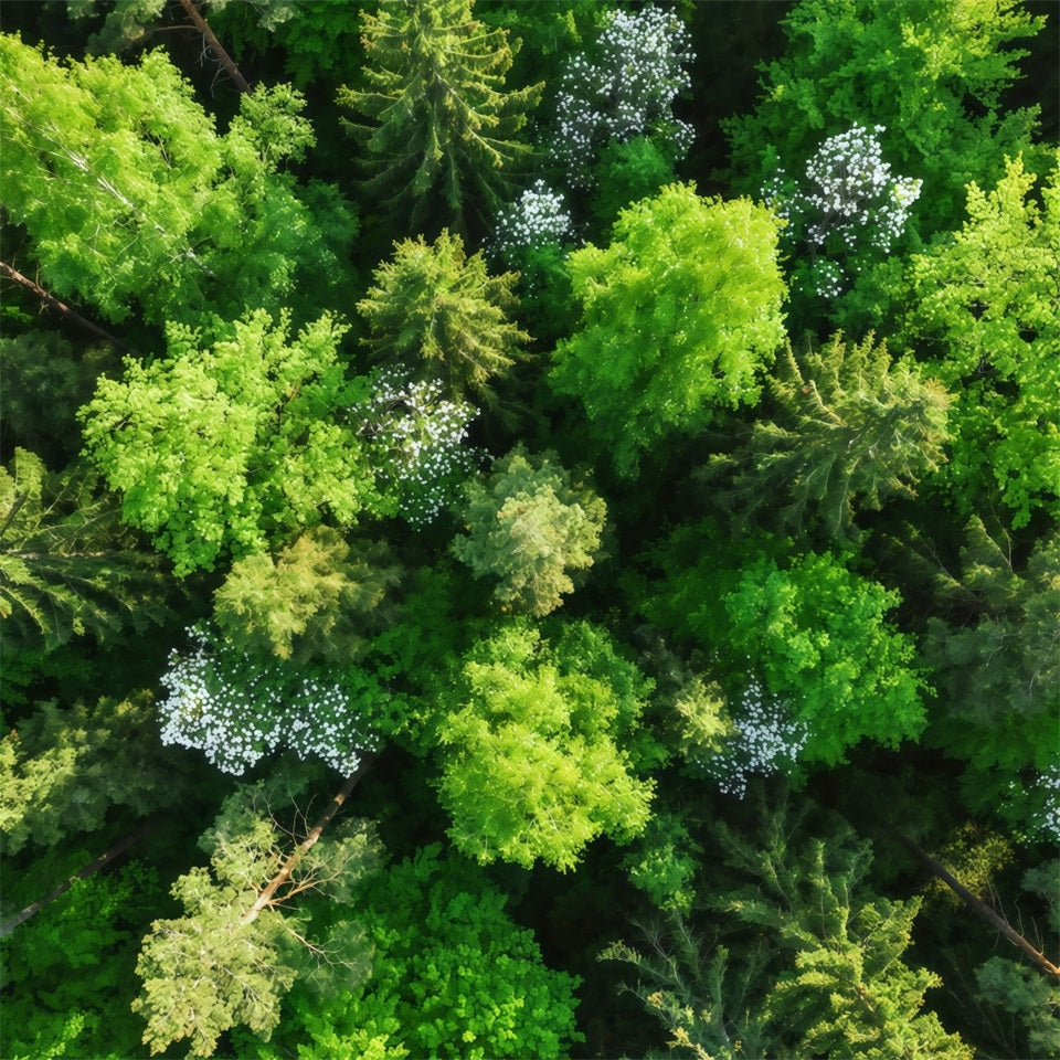 Pine Forest Backdrop Emerald Canopy Aerial View Forest Photography Backdrop UK CSH61-216