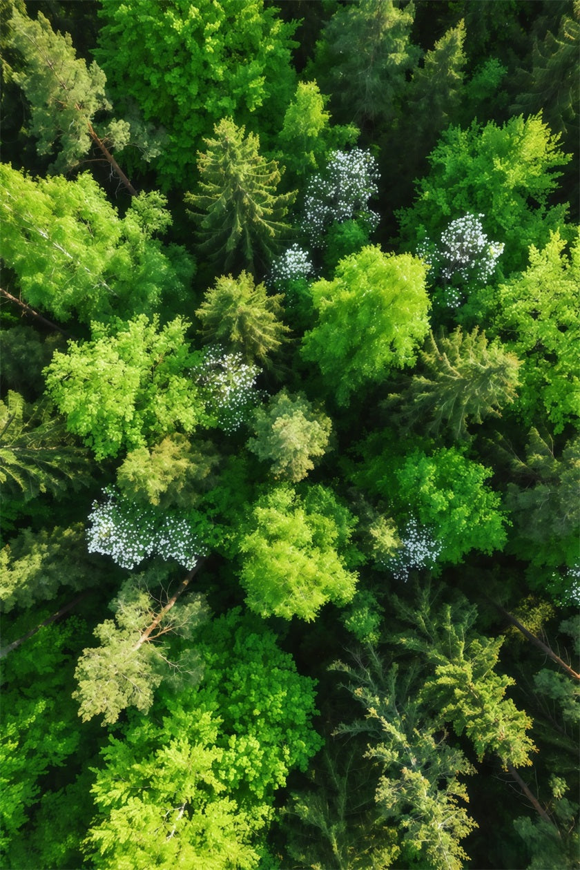 Pine Forest Backdrop Emerald Canopy Aerial View Forest Photography Backdrop UK CSH61-216