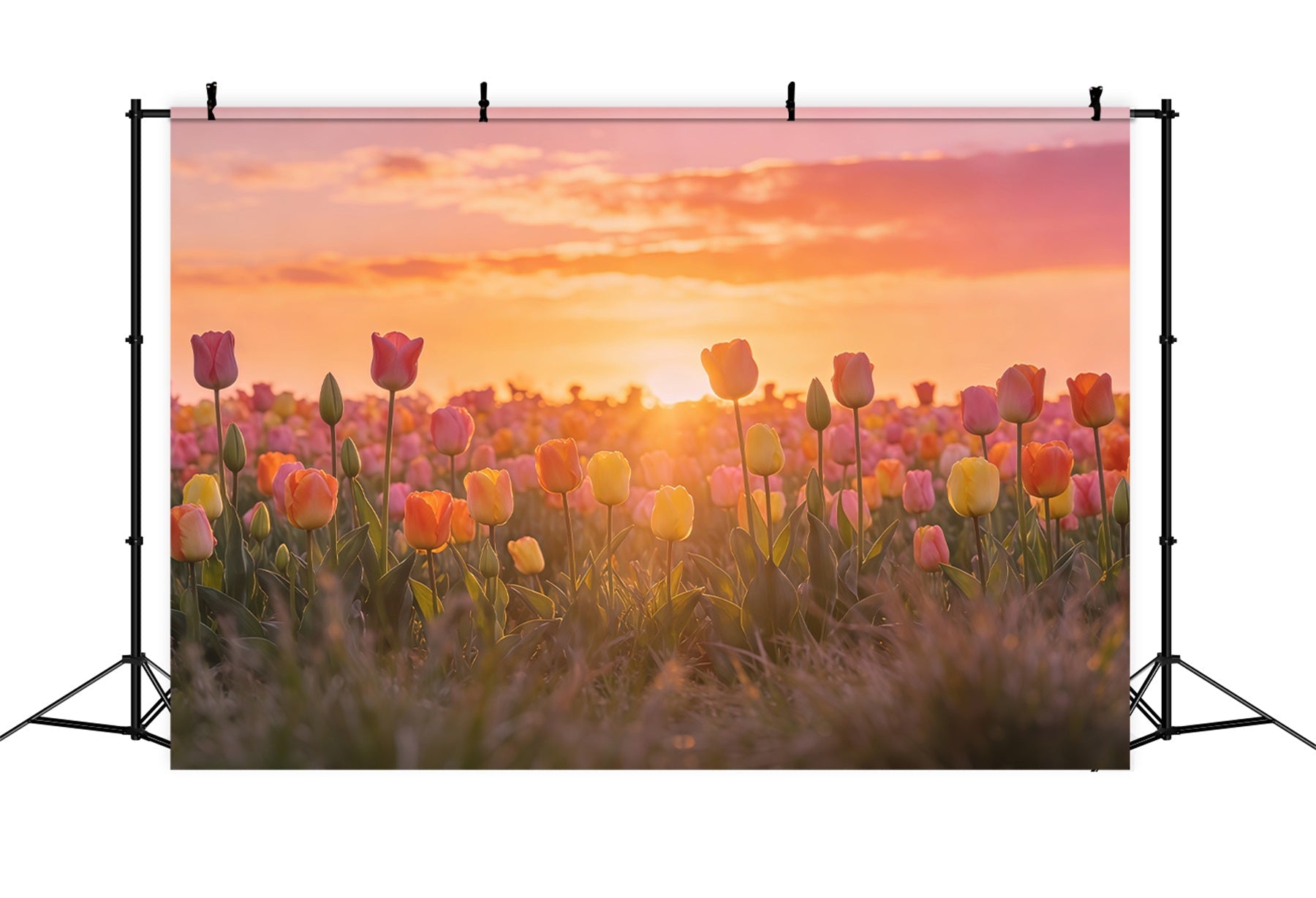 Easter Tulip Backdrop Sunset Field Floral Meadow Easter Photography Backdrops For Sale UK CSH61-64