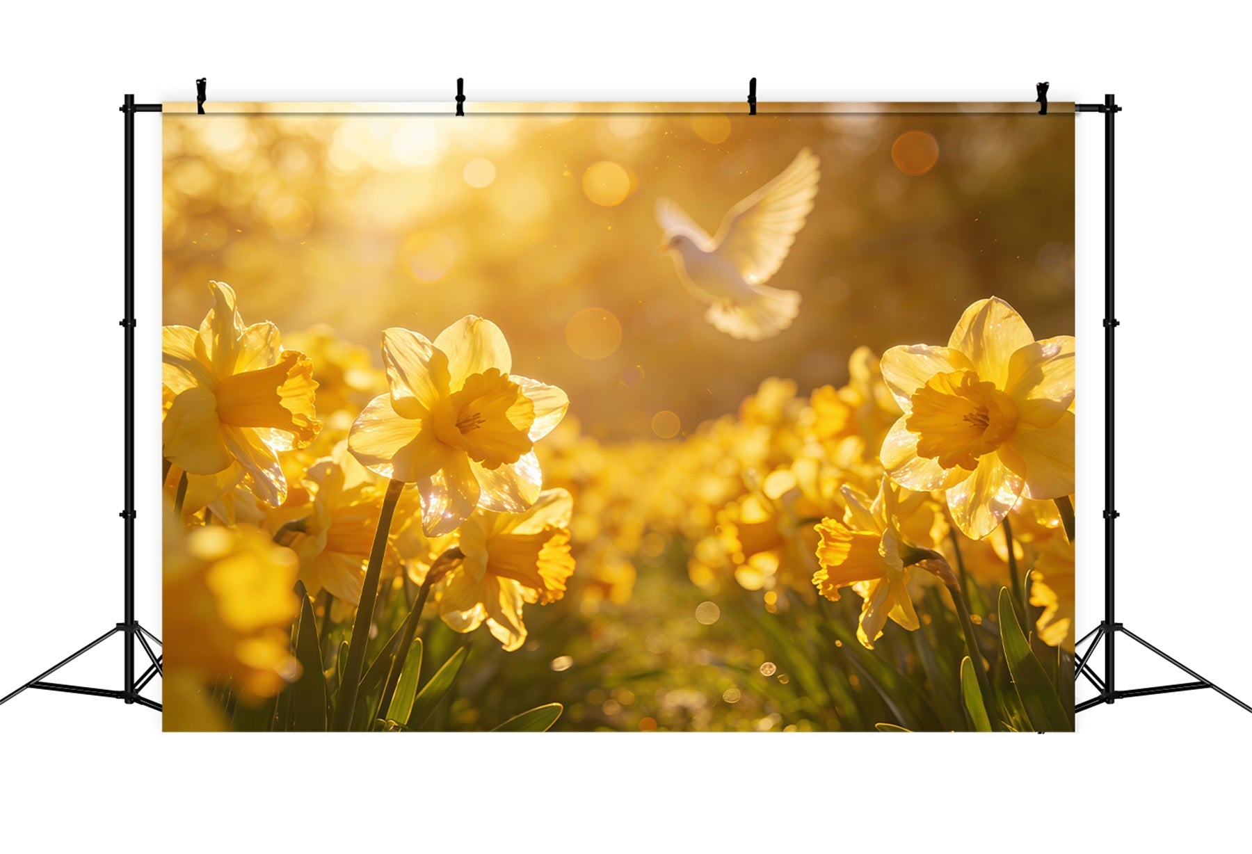 Easter Daffodil Backdrop Golden Spring Field Dove Glow Easter Backdrop For Photography UK CSH61-68
